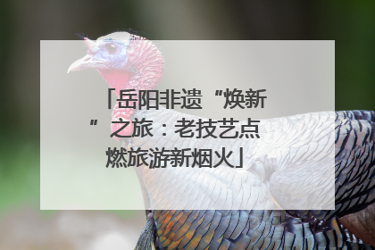 岳阳非遗“焕新”之旅：老技艺点燃旅游新烟火