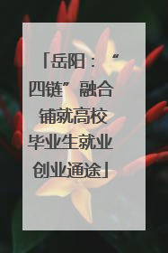 岳阳：“四链”融合 铺就高校毕业生就业创业通途