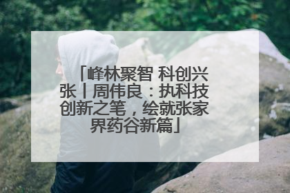 峰林聚智 科创兴张丨周伟良：执科技创新之笔，绘就张家界药谷新篇