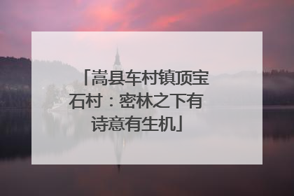 嵩县车村镇顶宝石村：密林之下有诗意有生机