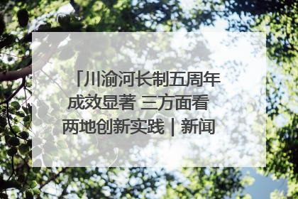 川渝河长制五周年成效显著 三方面看两地创新实践｜新闻发布最前线