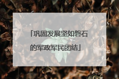 巩固发展坚如磐石的军政军民团结