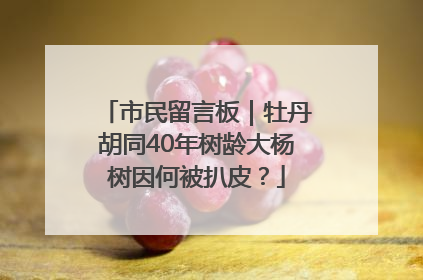 市民留言板｜牡丹胡同40年树龄大杨树因何被扒皮？