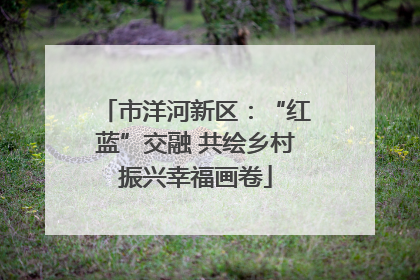 市洋河新区:“红蓝”交融 共绘乡村振兴幸福画卷