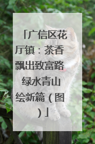 广信区花厅镇：茶香飘出致富路 绿水青山绘新篇（图）