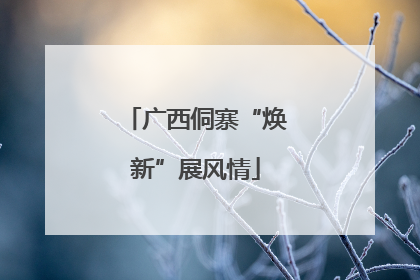 广西侗寨“焕新”展风情