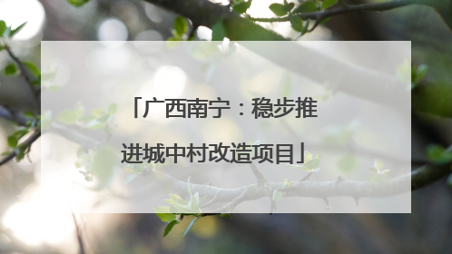广西南宁：稳步推进城中村改造项目