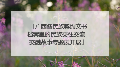 广西各民族契约文书档案里的民族交往交流交融故事专题展开展