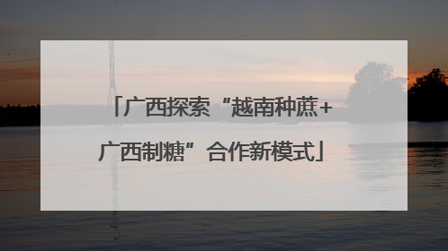 广西探索“越南种蔗+广西制糖”合作新模式