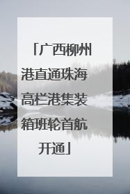 广西柳州港直通珠海高栏港集装箱班轮首航开通