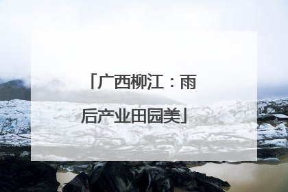 广西柳江：雨后产业田园美