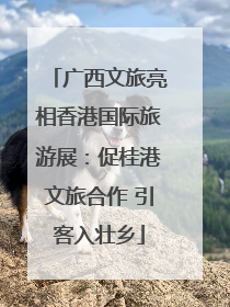 广西文旅亮相香港国际旅游展：促桂港文旅合作 引客入壮乡