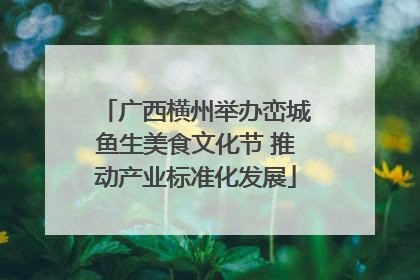 广西横州举办峦城鱼生美食文化节 推动产业标准化发展