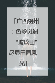 广西贺州：色彩斑斓“玻璃田”尽显田园风光