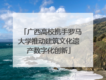 广西高校携手罗马大学推动建筑文化遗产数字化创新