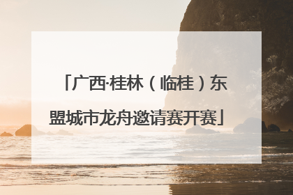 广西·桂林（临桂）东盟城市龙舟邀请赛开赛