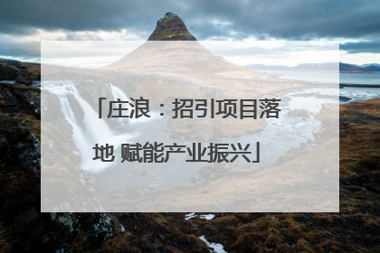 庄浪：招引项目落地 赋能产业振兴