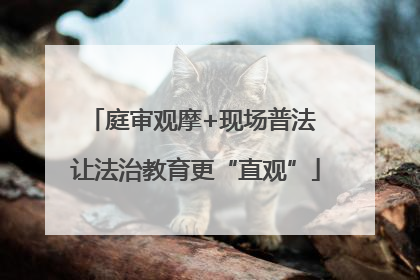 庭审观摩+现场普法 让法治教育更“直观”