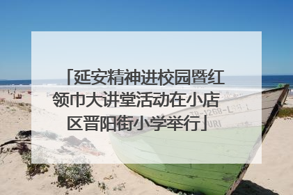 延安精神进校园暨红领巾大讲堂活动在小店区晋阳街小学举行