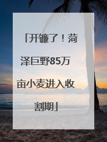 开镰了！菏泽巨野85万亩小麦进入收割期