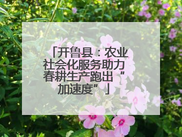 开鲁县：农业社会化服务助力春耕生产跑出“加速度”