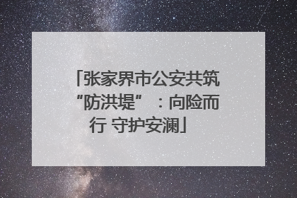 张家界市公安共筑“防洪堤”：向险而行 守护安澜