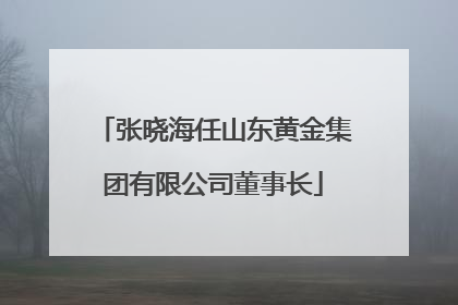 张晓海任山东黄金集团有限公司董事长