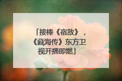接棒《宿敌》，《藏海传》东方卫视开播即燃
