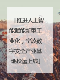 推进人工智能赋能新型工业化，宁波数字安全产业基地投运上线