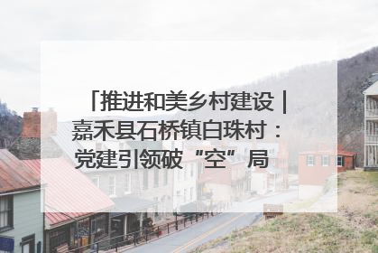 推进和美乡村建设｜嘉禾县石桥镇白珠村：党建引领破“空”局 乡贤聚力绘就新图景