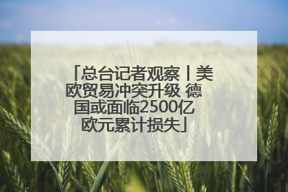 总台记者观察丨美欧贸易冲突升级 德国或面临2500亿欧元累计损失