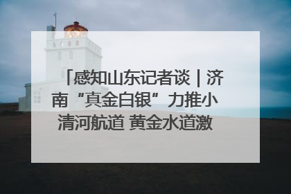 感知山东记者谈｜济南“真金白银”力推小清河航道 黄金水道激活区域经济新动能