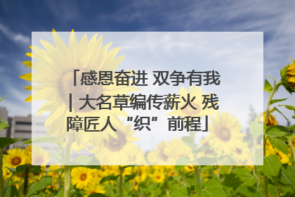 感恩奋进 双争有我｜大名草编传薪火 残障匠人“织”前程