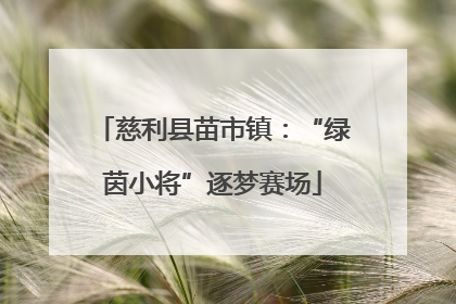 慈利县苗市镇：“绿茵小将”逐梦赛场