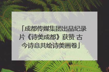 成都传媒集团出品纪录片《诗美成都》获赞 古今诗意共绘诗美画卷