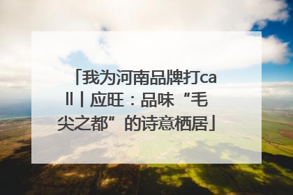 我为河南品牌打call丨应旺：品味“毛尖之都”的诗意栖居