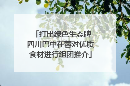 打出绿色生态牌 四川巴中在蓉对优质食材进行组团推介