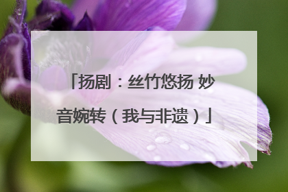 扬剧：丝竹悠扬 妙音婉转（我与非遗）