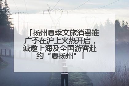 扬州夏季文旅消费推广季在沪上火热开启，诚邀上海及全国游客赴约“夏扬州”