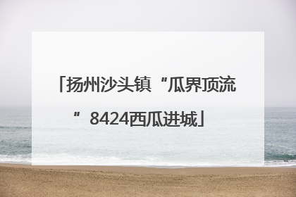 扬州沙头镇“瓜界顶流”8424西瓜进城