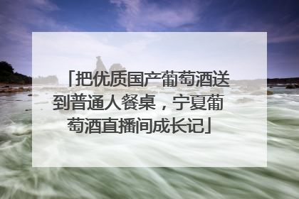 把优质国产葡萄酒送到普通人餐桌，宁夏葡萄酒直播间成长记