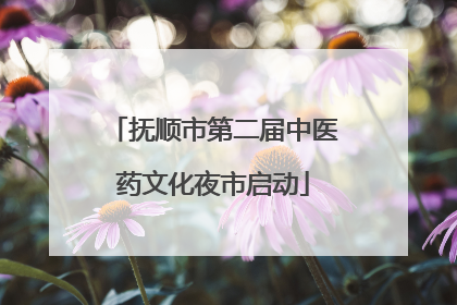 抚顺市第二届中医药文化夜市启动