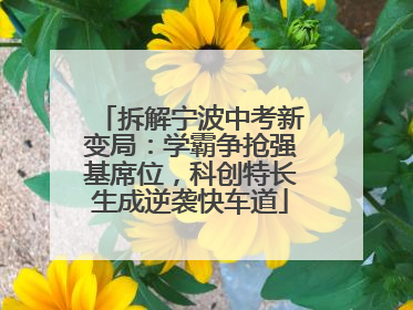 拆解宁波中考新变局：学霸争抢强基席位，科创特长生成逆袭快车道
