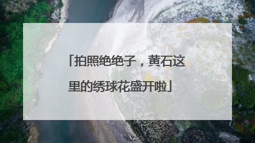 拍照绝绝子，黄石这里的绣球花盛开啦