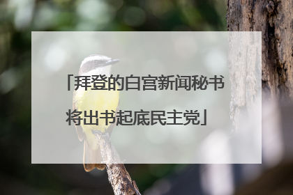 拜登的白宫新闻秘书将出书起底民主党