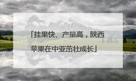 挂果快、产量高，陕西苹果在中亚茁壮成长