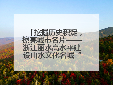 挖掘历史积淀，擦亮城市名片——浙江丽水高水平建设山水文化名城“闯出”创新之路