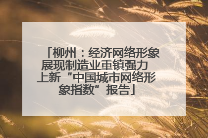 柳州：经济网络形象展现制造业重镇强力 上新“中国城市网络形象指数”报告