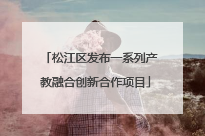 松江区发布一系列产教融合创新合作项目