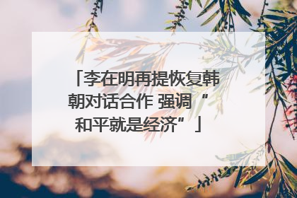 李在明再提恢复韩朝对话合作 强调“和平就是经济”